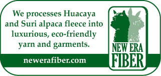 New Era Fiber